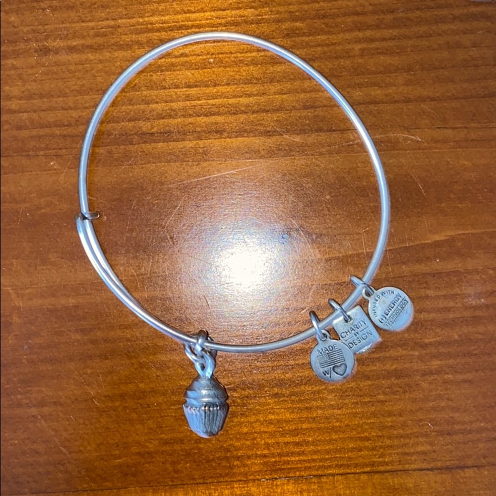 Alex & Ani Cupcake Charm Bangle